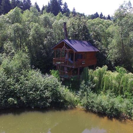 Вилла Cuibul Vulturilor - Casuta In Copac Мойсей Экстерьер фото