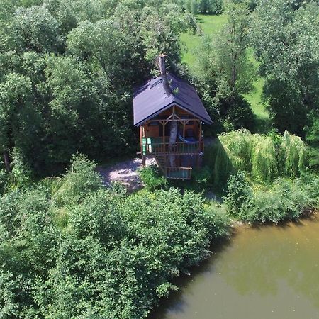 Вилла Cuibul Vulturilor - Casuta In Copac Мойсей Экстерьер фото