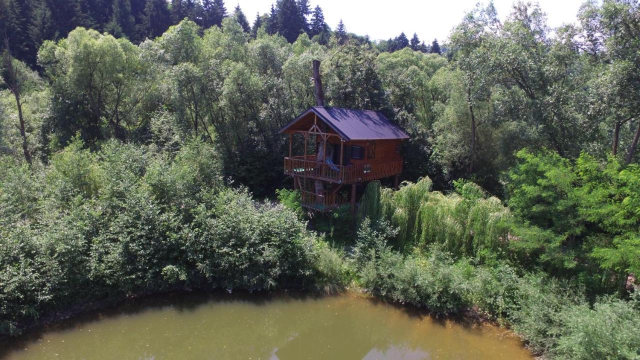 Вилла Cuibul Vulturilor - Casuta In Copac Мойсей Экстерьер фото