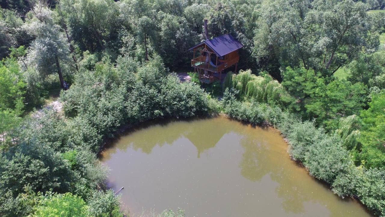 Вилла Cuibul Vulturilor - Casuta In Copac Мойсей Экстерьер фото