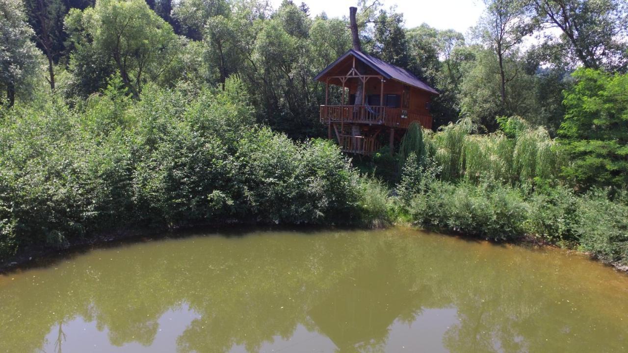 Вилла Cuibul Vulturilor - Casuta In Copac Мойсей Экстерьер фото