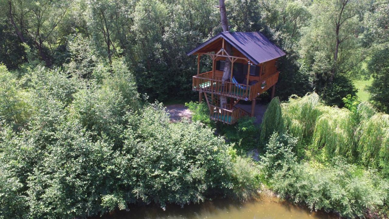 Вилла Cuibul Vulturilor - Casuta In Copac Мойсей Экстерьер фото