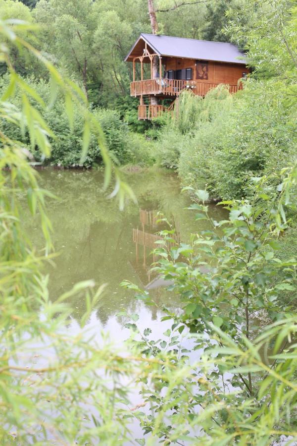 Вилла Cuibul Vulturilor - Casuta In Copac Мойсей Экстерьер фото