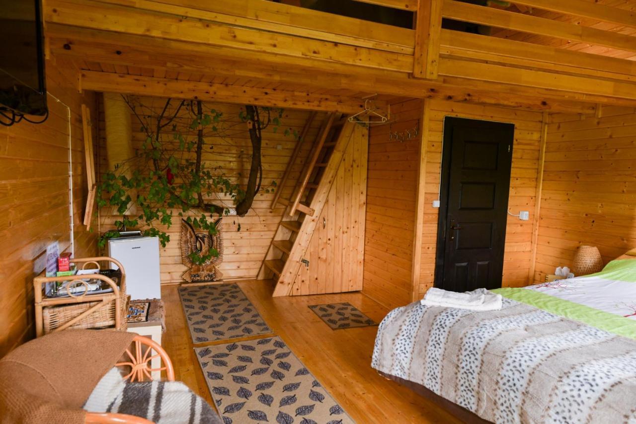 Вилла Cuibul Vulturilor - Casuta In Copac Мойсей Экстерьер фото
