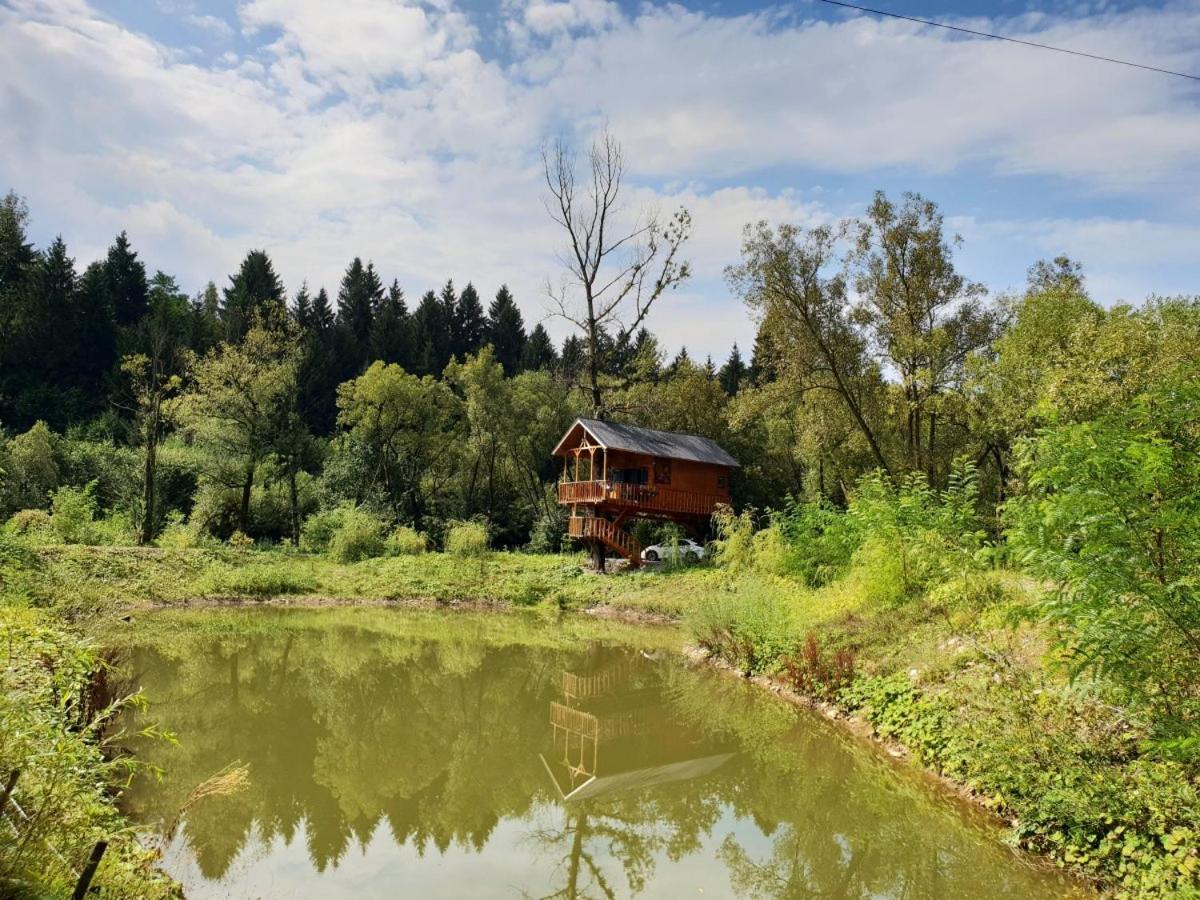 Вилла Cuibul Vulturilor - Casuta In Copac Мойсей Экстерьер фото